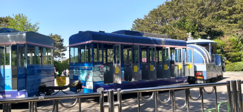 태종대 줄임- 32